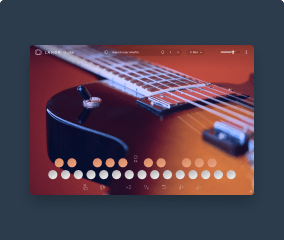 LandR Guitar