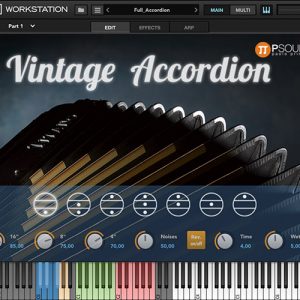 Vintage Accordion