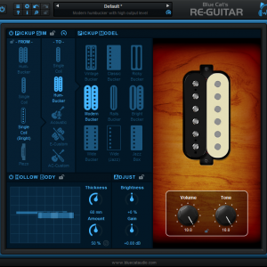 Blue Cat Re-Guitar