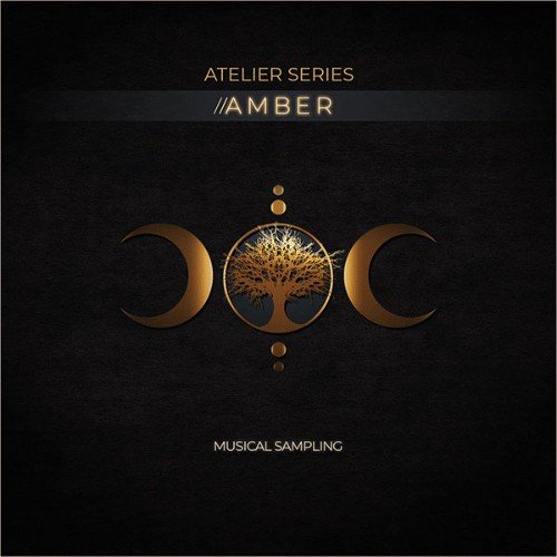 Atelier Series: Amber - Image 2