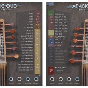 Arabic Oud Crossgrade