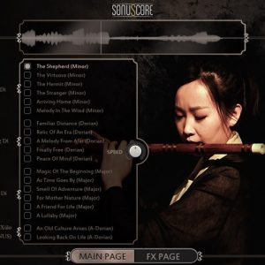 Ethnic Flute Phrases