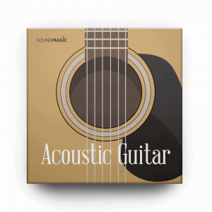 Acoustic Guitar