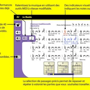 Guitare pour les Nuls Win