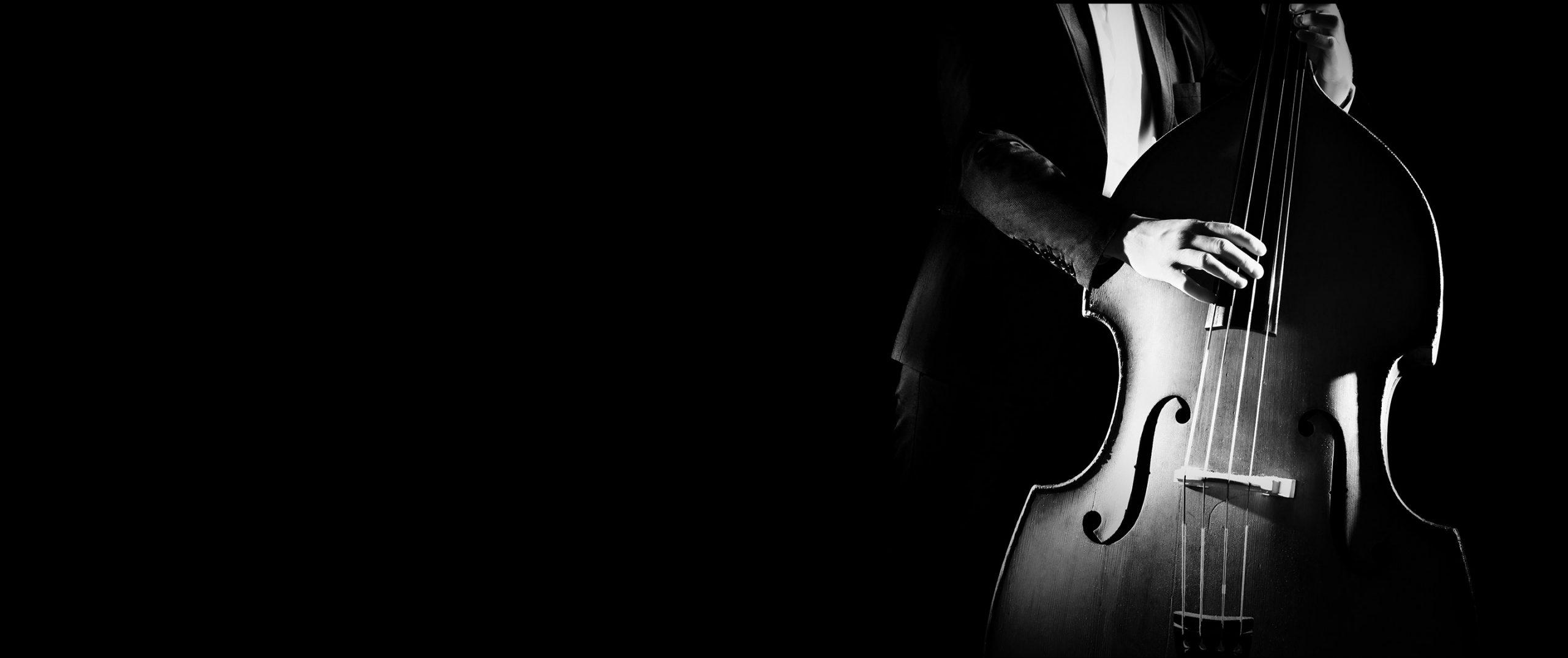 SYMPHONIC ORCH PLATINUM - Image 3