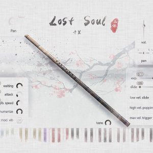 Lost Soul
