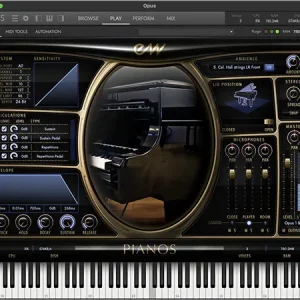 STEINWAY D PLATINUM
