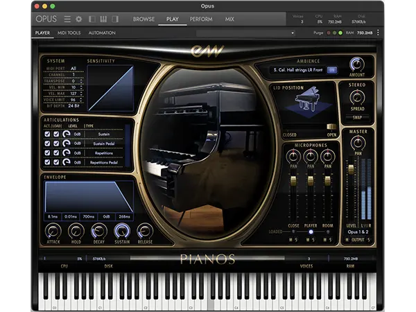 STEINWAY D PLATINUM