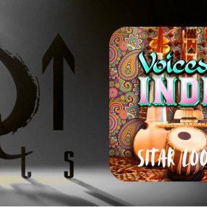 Voices Of India_Sitar