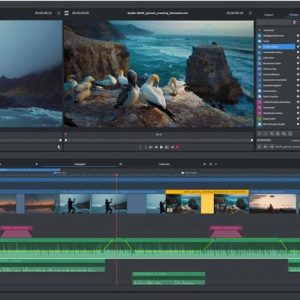 MAGIX Video Pro X 365