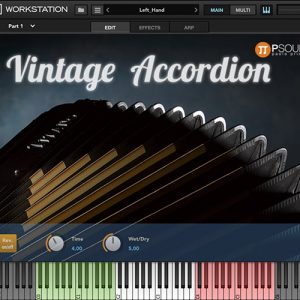 Vintage Accordion