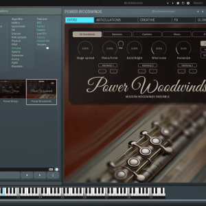 Melda PowerWoodwinds