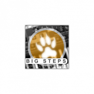 Xhun Big Steps expansion
