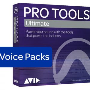384 Voice Perpetual Voice Pack