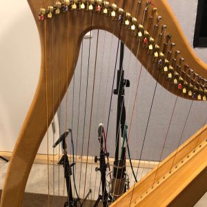 Celestial Harp