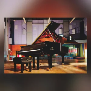 Garritan Abbey CFX Con Gr