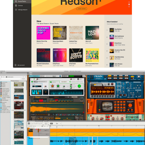 Reason+ (1-year prepaid subscription)