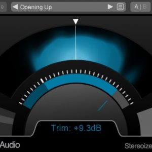 NUGEN Stereoizer Elements
