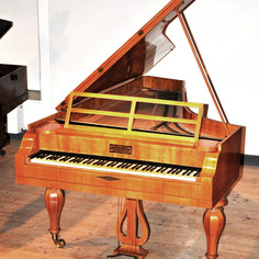 Pianoteq Kremsegg Collection 2 - Image 4