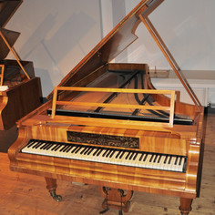 Pianoteq Kremsegg Collection 1 - Image 5