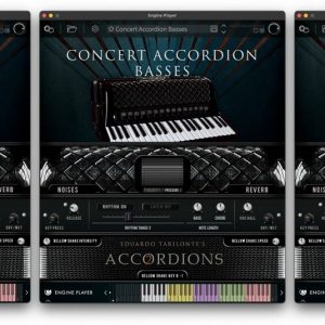 Accordions 2 - Collection Update