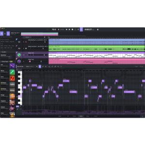 ACE Studio Artist Pro 2.0 Lifetime