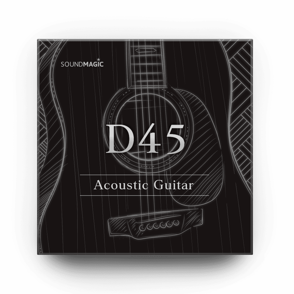 Acoustic Guitar D45