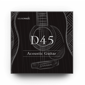 Acoustic Guitar D45