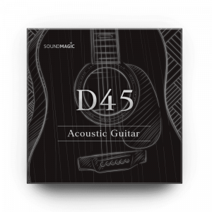 Acoustic Guitar D45