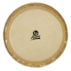 LP Aspire 10“ Rawhide Quinto Head