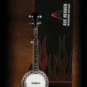 Classic Banjo with Rosewood Back Model