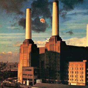 Pink Floyd – Animals – Wall Poster