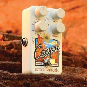 Canyon Delay and Looper