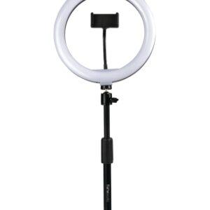 10-inch Led Desktop Ring Light Stand With Phone Holder And Compact Weighted Base