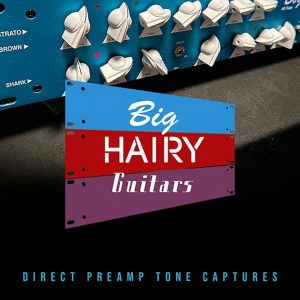 Big Hairy Guitars_ BOGGY Bogner Fish Preamp