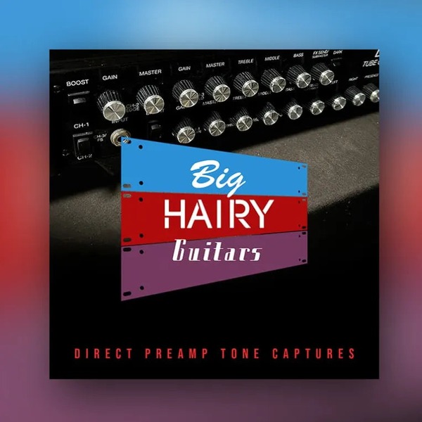 Big Hairy Guitars_BHG 2U Preamps