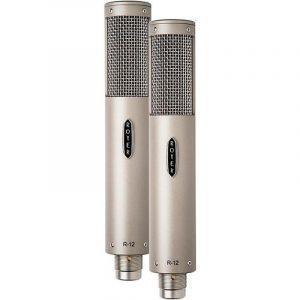 Royer R-10 Matched Pair, Large Ribbon Element (2.5-micron)