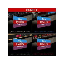 Big Hairy Guitars_BHG 1U Pre Amps