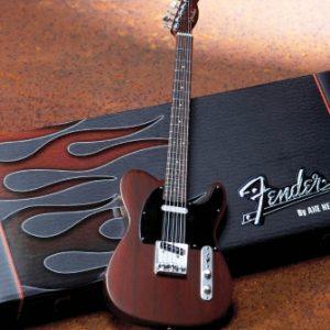 Axhgtr Tele Rosewd Mini GTR