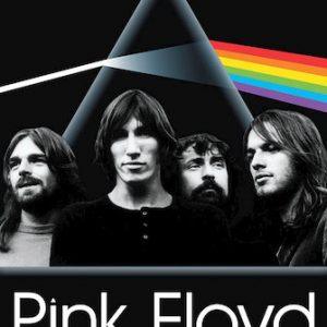 NMR Pink Dark Poster