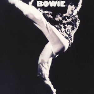 David Bowie – Man Who Sold the World – Wall Poster
