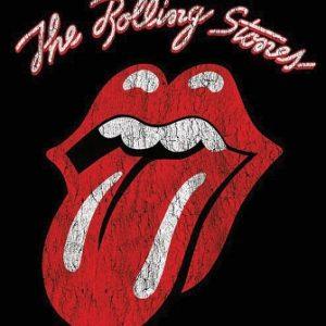 Studio Stones Logo Poster