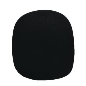 WSM Windscreen
