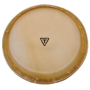 Artist Series Replacement Conga Head