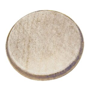 12“ Sangban Replacement Head