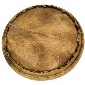 TYC Replc Head Djmb 9" Tucked