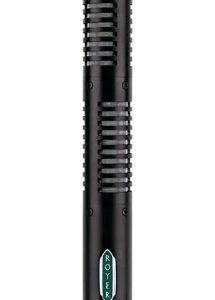 Royer SF-12 Stereo MIC