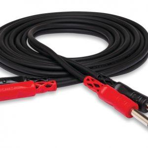 Hosa Dual 1/4" TS TO RCA
