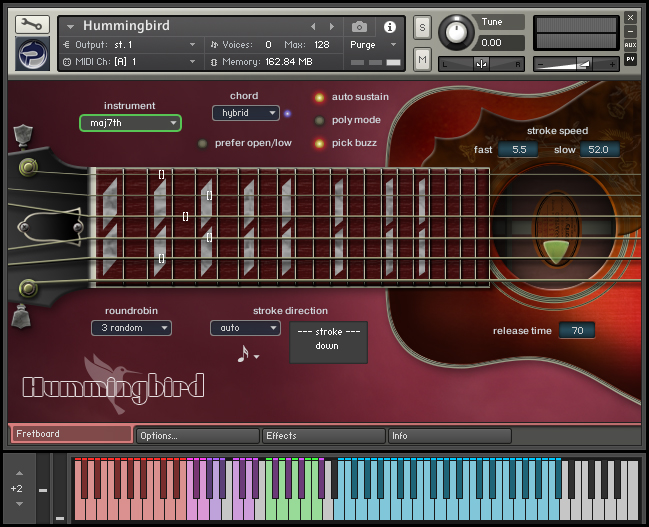 Hummingbird Acoustic Guitar