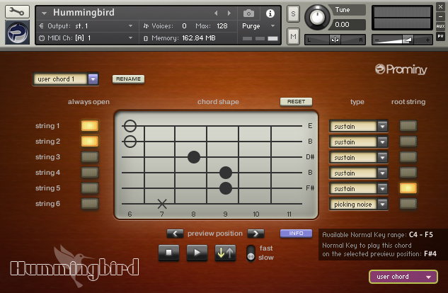 Hummingbird Acoustic Guitar - Image 4